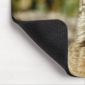 カナダのオオヤマネコ マウスパッド (コーナー)