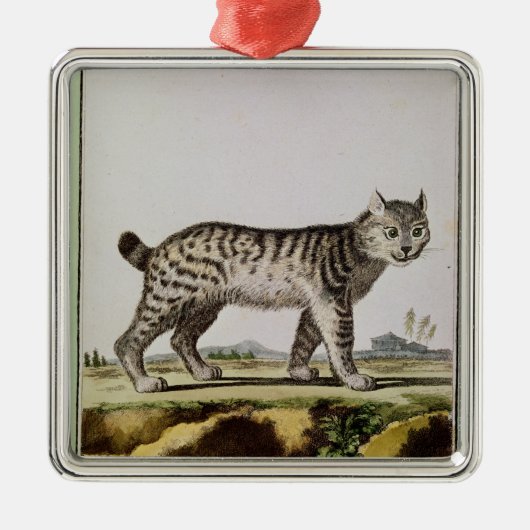 カナダのオオヤマネコ メタルオーナメント (正面)