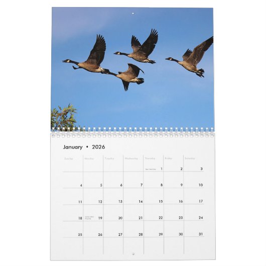 カナダのガチョウおよびがちょうの子 カレンダー (1月 2026)