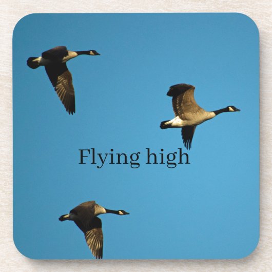 カナダのガチョウが飛んでいる コースター (正面)