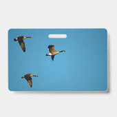 カナダのガチョウが飛んでいる バッジ (裏面)