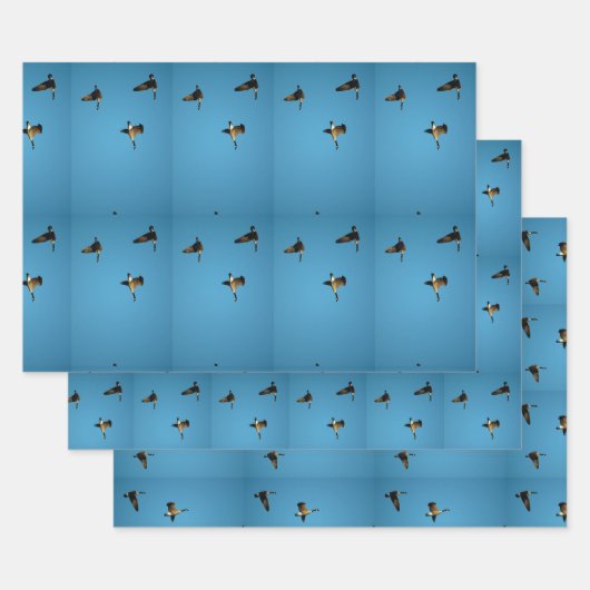 カナダのガチョウが飛んでいる ラッピングペーパーシート (セット)