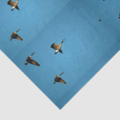 カナダのガチョウが飛んでいる 薄葉紙 (詳細)