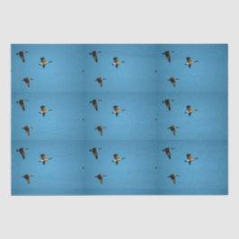 カナダのガチョウが飛んでいる 薄葉紙