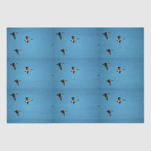 カナダのガチョウが飛んでいる 薄葉紙 (正面)