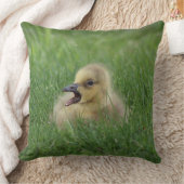 カナダのガチョウのひよこ クッション (ブランケット)