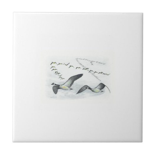 カナダのガチョウのタイル タイル (正面)