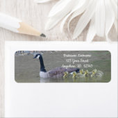 カナダのガチョウのベビーと母の動物住所 ラベル (インサイチュ)