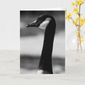 カナダのガチョウのポートレートの挨拶状、メッセージカード カード (黄色い花)