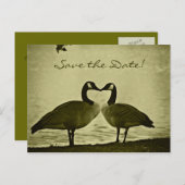 カナダのガチョウの写真 案内ポストカード (正面/裏面)