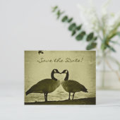 カナダのガチョウの写真 案内ポストカード (スタンド正面)