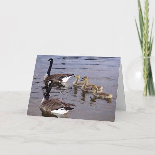 カナダのガチョウ家族 カード (正面)