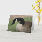 "カナダのガチョウ"の野性生物の挨拶状 カード (黄色い花)