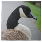 カナダのガチョウ タイル (正面)