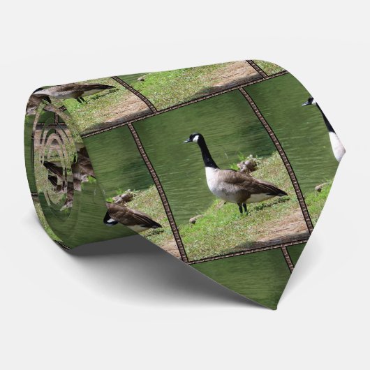 カナダのガチョウ ネクタイ (ロール)