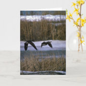 カナダのガチョウ、飛行中に カード (黄色い花)