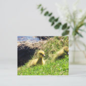 カナダのゲーセンが環境を探検 ポストカード (スタンド正面)