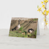 カナダのゲーゼとベビー自然のフォトカード カード (黄色い花)