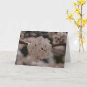 カナダのスモモの木の花とのNotecard カード (黄色い花)