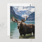 カナダのバンフ国立公園でムース ポストカード (正面/裏面)