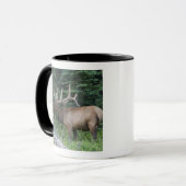 カナダのバンフ国立公園でBugling elk。 マグカップ (正面左)