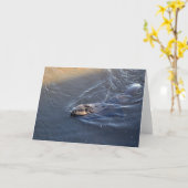 カナダのビーバー野生動物グリーティングカード カード (黄色い花)