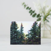 カナダのボレアの森アートの木芸術的カラフル ポストカード (スタンド正面)