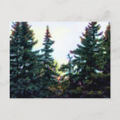 カナダのボレアの森アートの木芸術的カラフル ポストカード (正面)