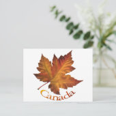 カナダのポストカード オーダーメイド カナダのお土産ポストカード ポストカード (スタンド正面)