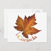カナダのポストカード オーダーメイド カナダのお土産ポストカード ポストカード (正面/裏面)