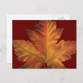 カナダのポストカード オーダーメイド カナダのお土産ポストカード ポストカード (正面/裏面)