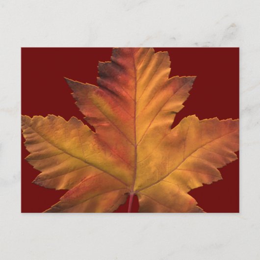 カナダのポストカード オーダーメイド カナダのお土産ポストカード ポストカード (正面)