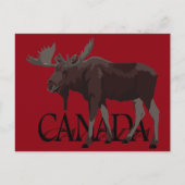 カナダのムースポストカードカナダのお土産はがき ポストカード (正面)