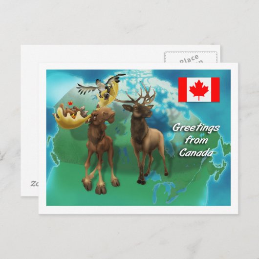 カナダのムース、エルク、ビーバー、キツネ ポストカード (正面/裏面)