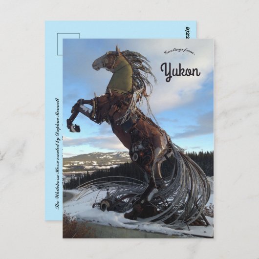 カナダのユーコン準州ホワイトホースの白馬 ポストカード (正面/裏面)