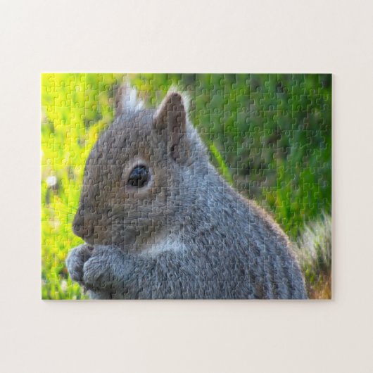 カナダのリス ジグソーパズル (横)