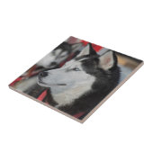 カナダのレース前のハスキー犬 タイル (側面)