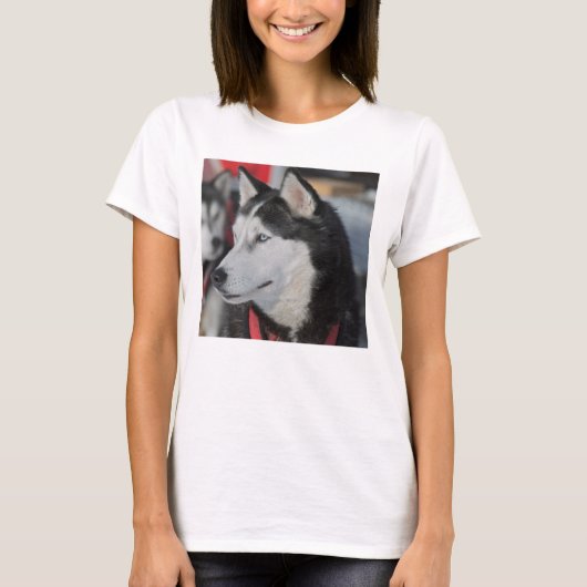 カナダのレース前のハスキー犬 Tシャツ (正面)