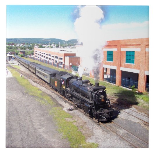 カナダの国民#3254 Mikadoの写真のタイル タイル (正面)