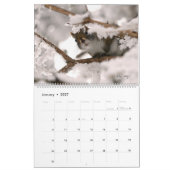 カナダの日付2024、大、ミスターBickles wall カレンダー (1月 2027)