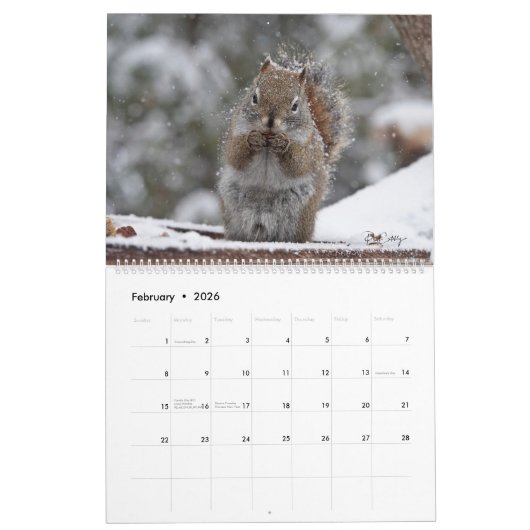 カナダの日付2024、大、ミスターBickles wall カレンダー (2月 2026)