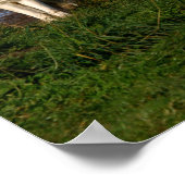 カナダの木材ウルフのポスター/プリント ポスター (角)