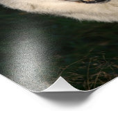 カナダの木材ウルフカナダの木材ウルフ フォトプリント            (角)