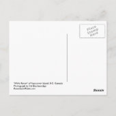 カナダの白の少数派、希少な白いカラスのはがき ポストカード (裏面)