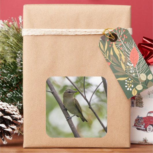 カナダの緑の鳴き鳥 スクエアシール (クリスマス)