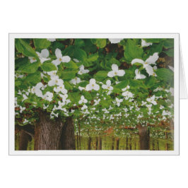 カナダの美しい景色ナイアガラ: 低価格のギフト