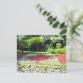 カナダの花の旗 ポストカード (スタンド正面)