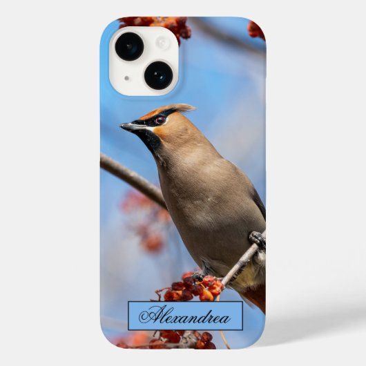 カナダの茶色のボヘミアンのワックスウィング鳥の写真 Case-Mate iPhoneケース (裏面)