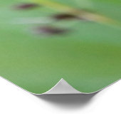 カナダの草にとまるトンボ ポスター (角)