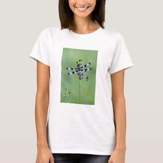 カナダの草にとまるトンボ Tシャツ (正面)